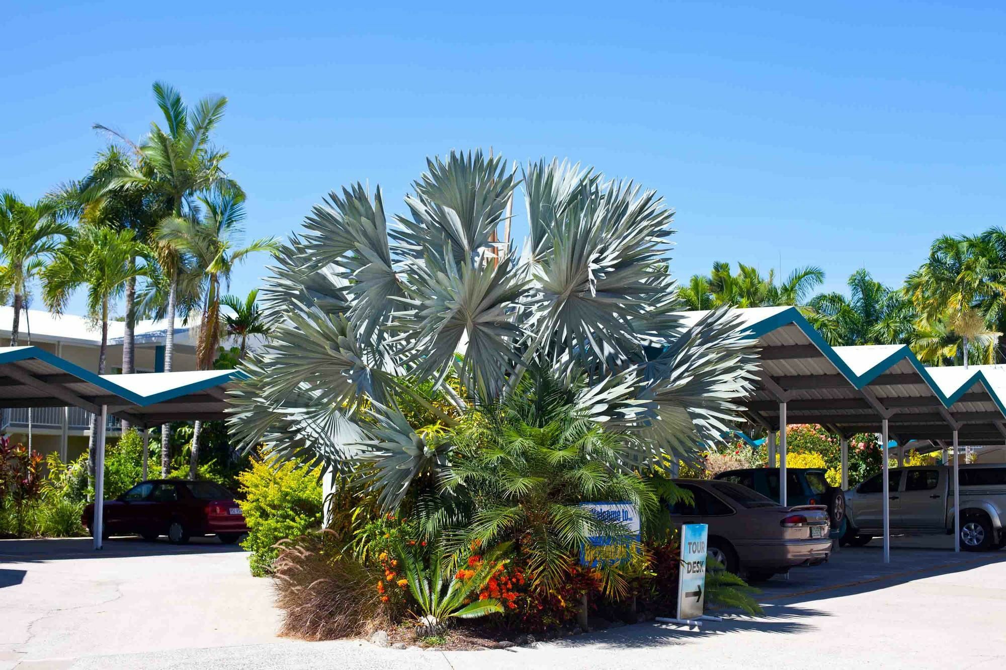 Trinity Beach Pacific Exterior photo